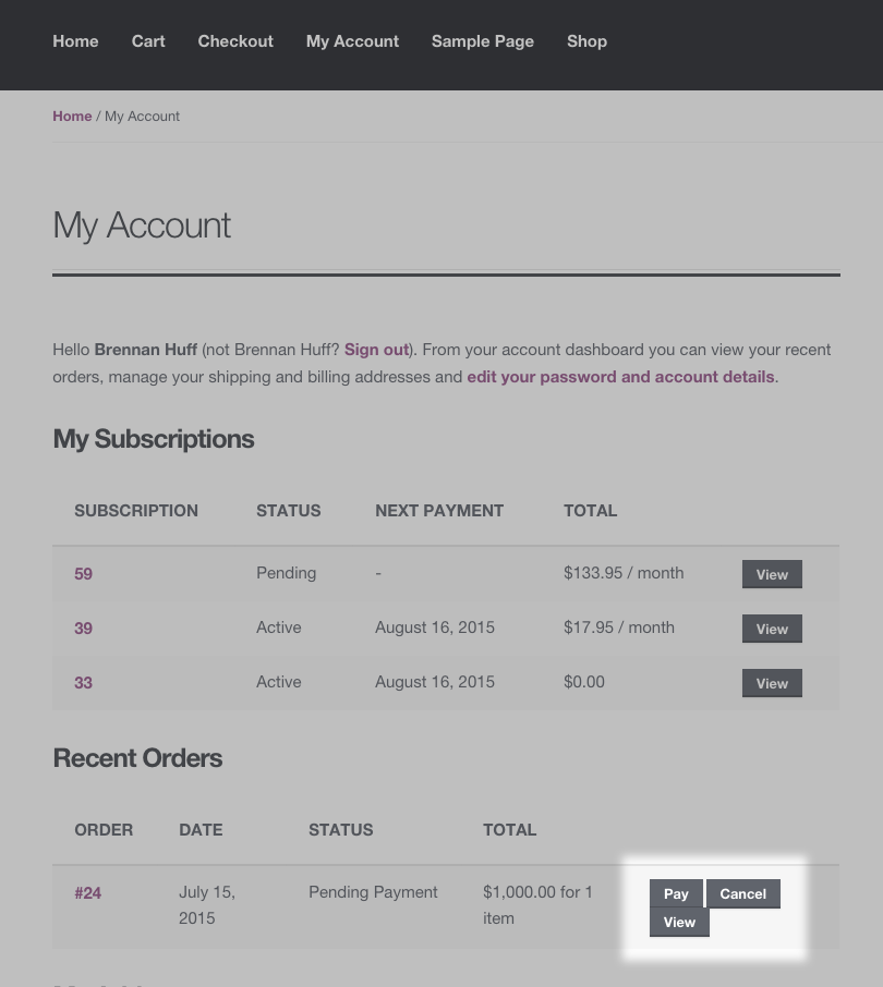 Pay Action on View Subscription Page