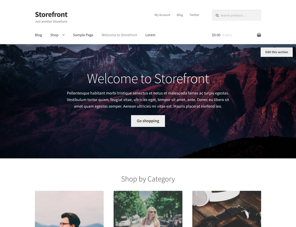 web storefront